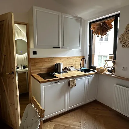 公寓 Pod Gubalowka Apartzakop 扎科帕内
