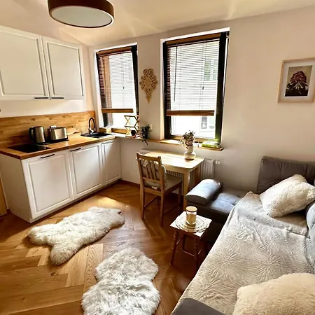 Pod Gubalowka Apartzakop 公寓
